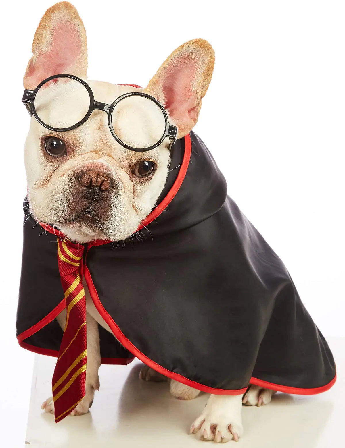 Impoosy Pet Halloween Dog Hoodies Funny