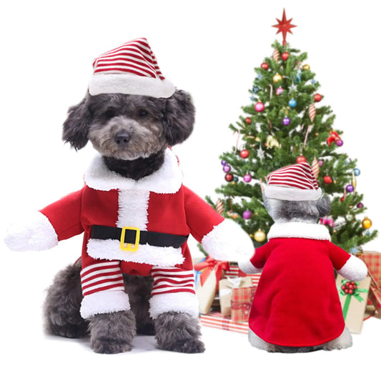Funny Christmas Dog Costumes